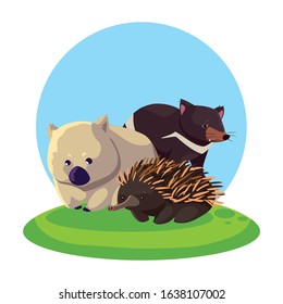 Animals of Australia with background landscape. vector illustration design.