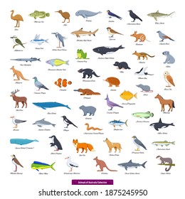 9 Friendly Kookaburra Stock Vectors, Images & Vector Art | Shutterstock