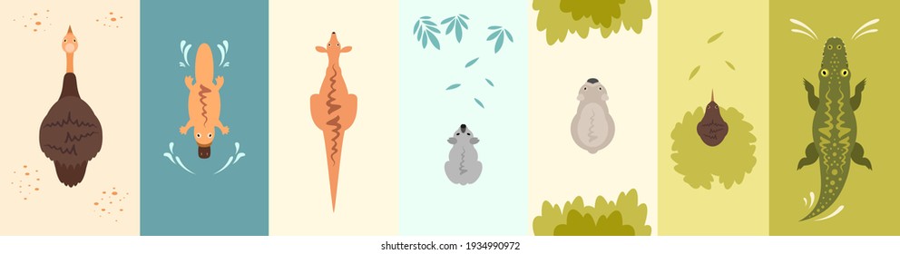 Animals of Australia: kangaroo, kiwi, wombat, koala, crocodile, emu, platypus. Сartoon vector animals top view. 