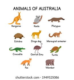 Animals of Australia: kangaroo, koala, platypus, echidna, dingo dog, crocodile, turtle, fox, wombat, ostrich Emu on a white background.Flat cartoon illustration for kids.