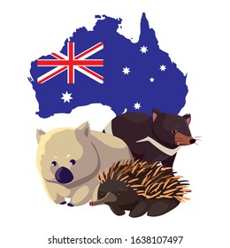 Animals of Australia with map of Australia in the background. vector illustration design.