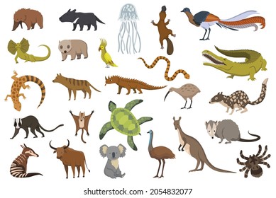 Animals of australia. Nature fauna collection. Geographical local fauna. Mammals living on continent. Vector illustration in kids style