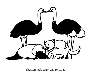 Animals of Australia on white background. vector illustration design.