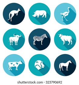 Animals of the Australian continent icons set. 