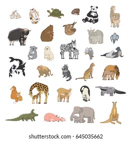 animals with babies vector illustrations set
