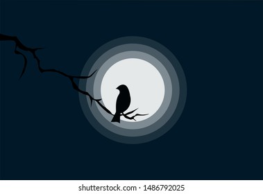 Animals background siluet moonlight outdoor
