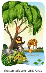 Animals at the bank of a river