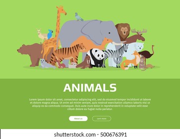 Animals banner. Various animals stands or sits on green background. Poster with elephant, giraffe, panda, fox, monkey, ostrich, bear, tiger, camel, kangaroo, parrot, zebra, lion. Website template