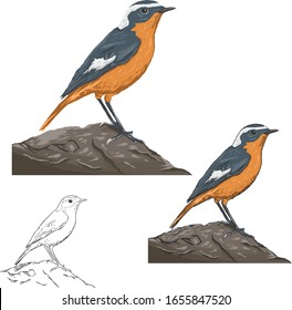  animales, silueta de pájaro, vector de pájaro.Ave de arte abstracto, icono de logotipo pájaros conjunto ilustración vectorial, vectorial de pájaros.