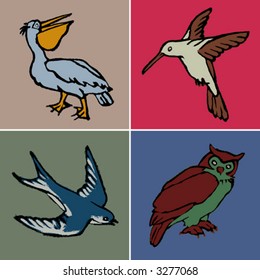 animals - birds