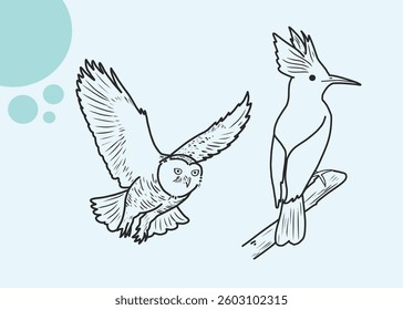 a animals birds doodle design