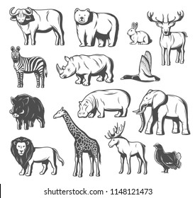 Animals and birds icons for zoo or hunt design. Vector isolated wild bear, buffalo ox or elk and deer, aper hog, pheasant or blackcock bird and African elephant, giraffe or zebra and lion