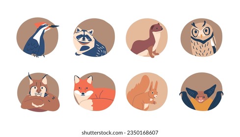 Animals And Birds Isolated Round Icons or Avatars. Lynx, Squirrel, Fox and Owl. Raccoon, Ferret, Woodpecker and Bat