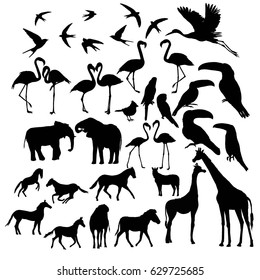 animals and birds silhouette, giraffe, Zebra, horse, elephant, Flamingo, Toucan, parrot, swallow, cardinal, crane, vector, illustration
