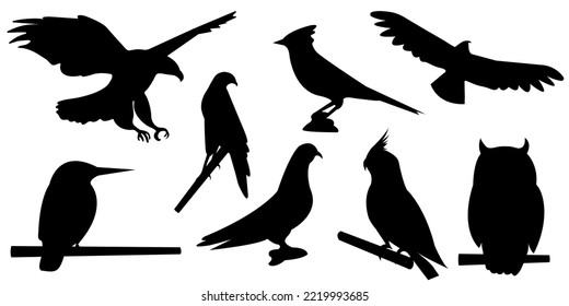 Animals Birds Vector Silhouette Set