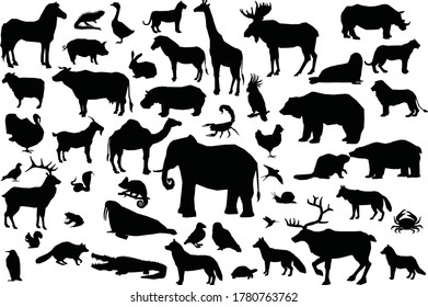 Animals black and white big set Vector