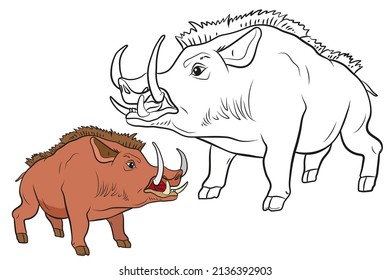 Animals. Black and white image of a large wild boar, coloring book for children.
 Vector drawing. 
Color image, background, design.