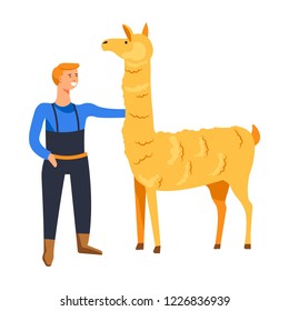Animals breeding o n farm, male with llama vector. Farmer tending mammal vicugna type of lama, camelid representative cared by man from farmhouse. Alpaca guanaco breed with wool and hairy skin