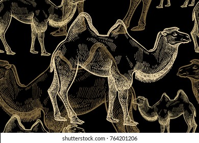 Animals camels seamless pattern. Vintage background. Vector illustration art. Hand drawing. Gold and black. For design paper, wallpaper, textiles, fabrics, clothes, interior items, curtains.
