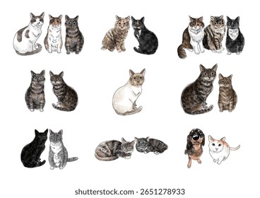 Animals Cat, Dog Watercolor Full Color Bundle Set