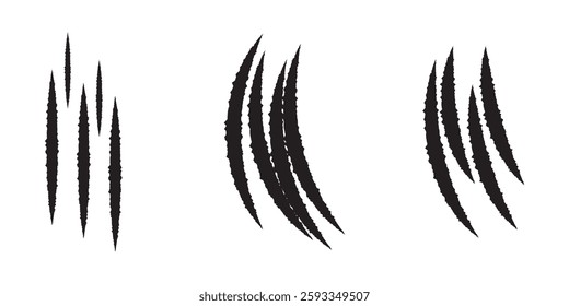 Animals claw scratches icons set. Claw scratches collection. Realistic illustration with black animals claw set. Claw mark vector silhouette set. Claws beast ripped marks. animal scratch. Design ep 10