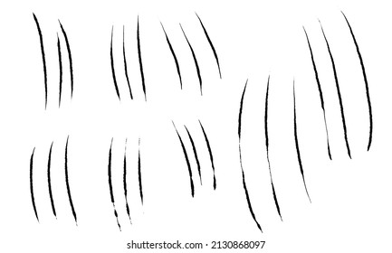 Animals claw scratches set. Claw scratches . Black animals claw collection. Grunge scratches claws. Wild animals concept. Vector illustration on white background.