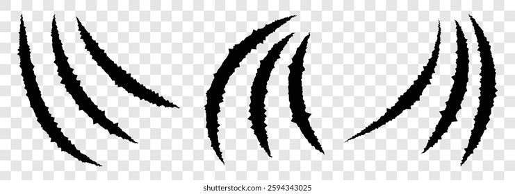 Animals claws scratch scrape track. Claws scratches icon. Claws icons. Scratches collection. Black scrape of animals. vector illustration