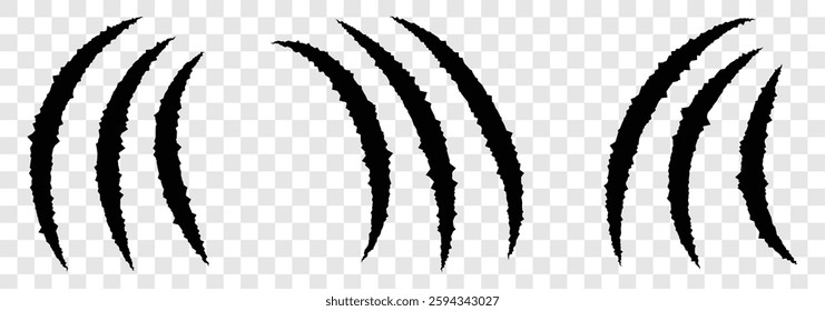 Animals claws scratch scrape track. Claws scratches icon. Claws icons. Scratches collection. Black scrape of animals. vector illustration