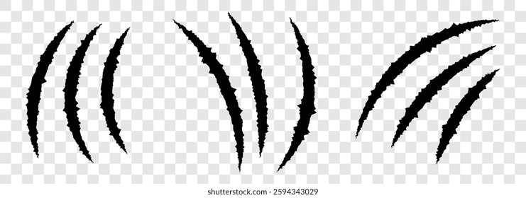 Animals claws scratch scrape track. Claws scratches icon. Claws icons. Scratches collection. Black scrape of animals. vector illustration
