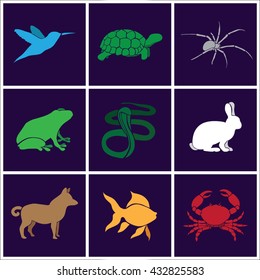 Animals clip art collection