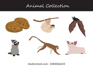Animals collection. Flat style vector illustration.