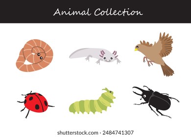Animals collection. Flat style vector illustration.