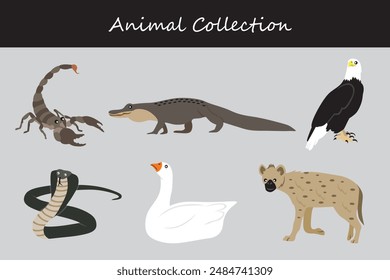 Animals collection. Flat style vector illustration.