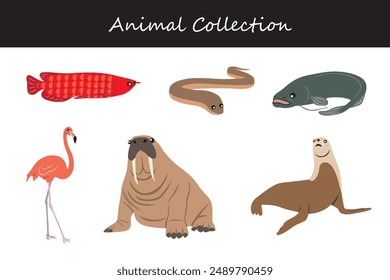 Animals collection. Flat style vector illustration.
