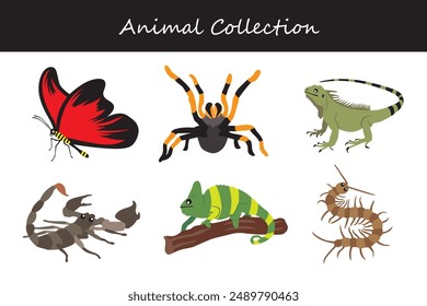 Animals collection. Flat style vector illustration.