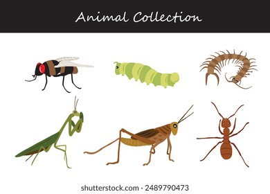 Animals collection. Flat style vector illustration.