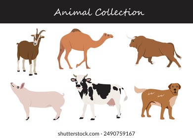 Animals collection. Flat style vector illustration.