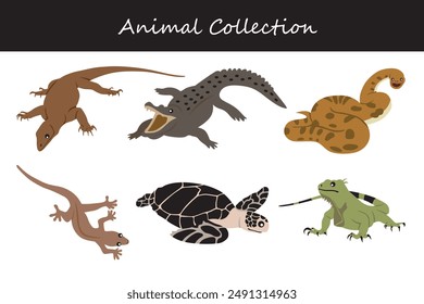 Animals collection. Flat style vector illustration.