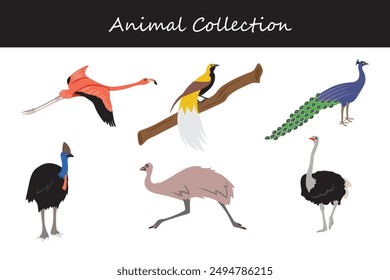 Animals collection. Flat style vector illustration.