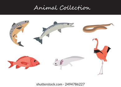 Animals collection. Flat style vector illustration.