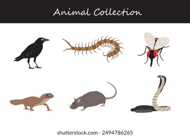 Animals collection. Flat style vector illustration.