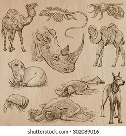 Animals. Collection of an hand drawn vector illustrations. Freehand sketches, Line art. Each drawing comprise of a few layers of lines. Colored background is isolated. Editable in group and layers.