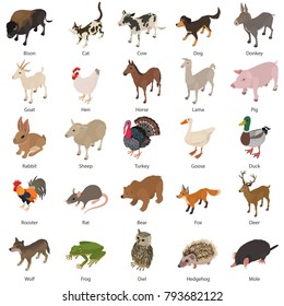 Animals collection icons set. Isometric illustration of 25 animals collection vector icons for web