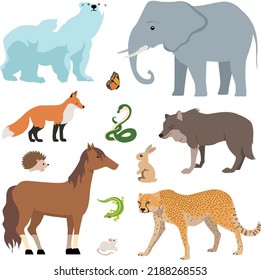 Animals collection isolated on white background