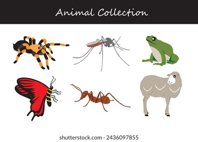 Animals collection isolated on white background. Flat style vector illustration.