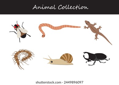 Animals collection isolated on white background. Flat style vector illustration.