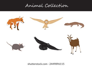Animals collection isolated on white background. Flat style vector illustration.