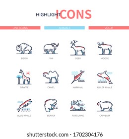 Animals collection - modern line design style icons set with blue, red color filling. Bison, yak, deer, moose, giraffe, camel, narwhal, killer, blue whale, beaver, porcupine, capybara. Wildlife idea