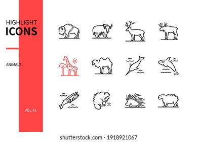 Animals collection - modern line design style icons set. Black and white images. Bison, yak, deer, moose, giraffe, camel, narwhal, killer and blue whale, beaver, porcupine, capybara. Wildlife idea