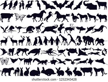 Animals Collection Silhouette